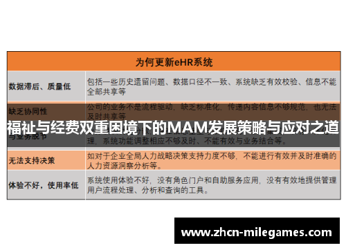 福祉与经费双重困境下的MAM发展策略与应对之道